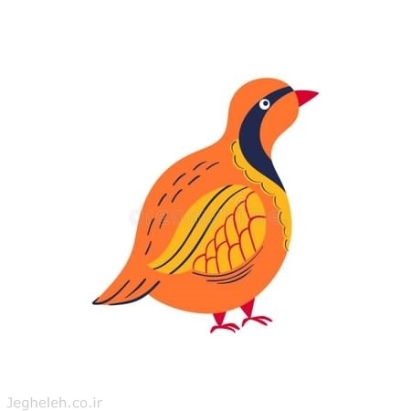 داستان کمک کردن به کبک بیمار