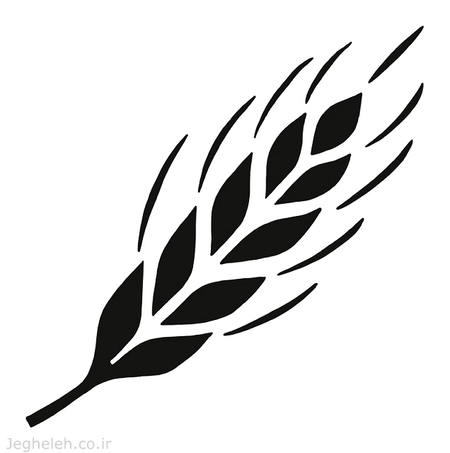 داستان گندم سیاه داستان گندم سیاه