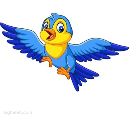 آهنگ پرنده