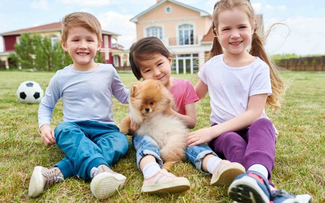 چگونه با حیوان خانگی برخورد کنیم؟
